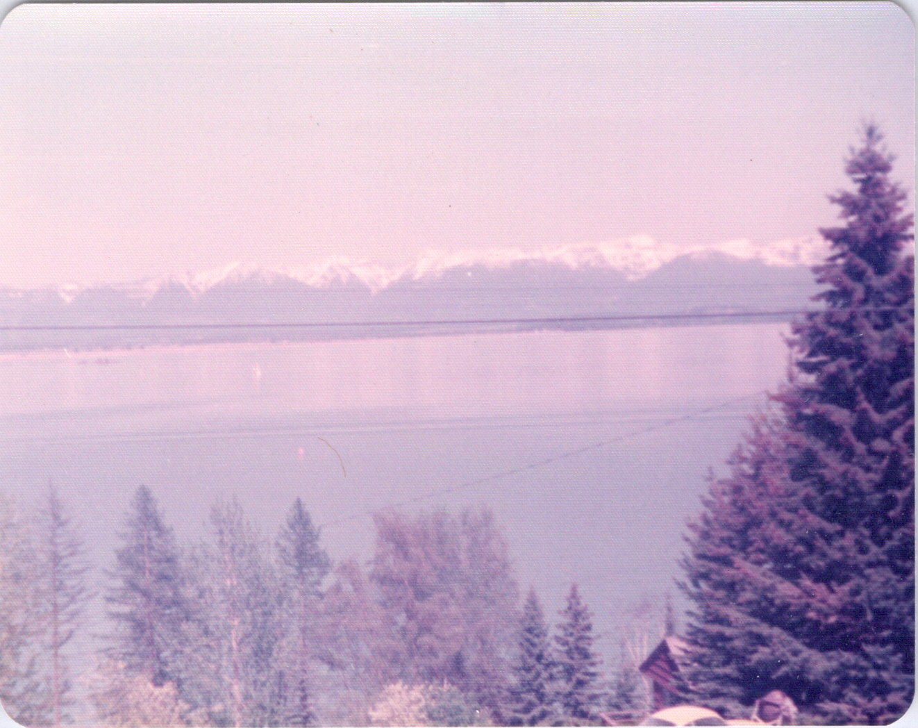 2025-04-12-0214