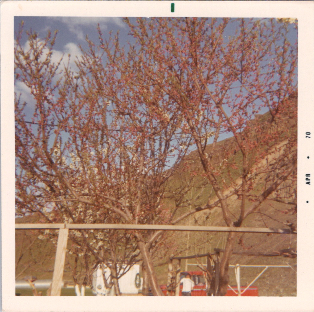 2025-04-12-0228