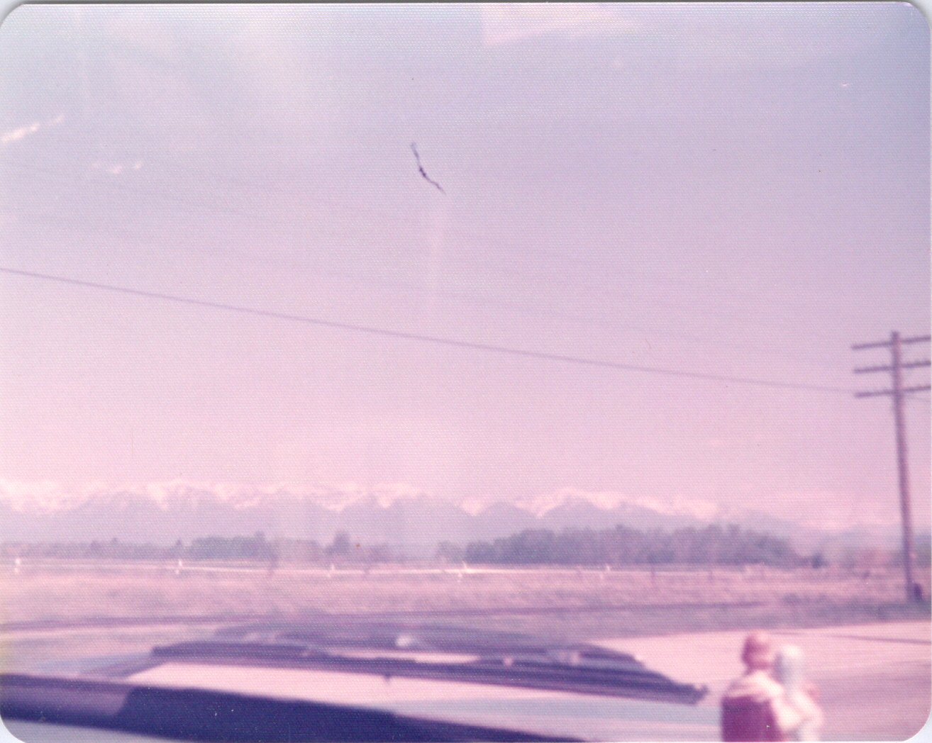 2025-04-12-0281