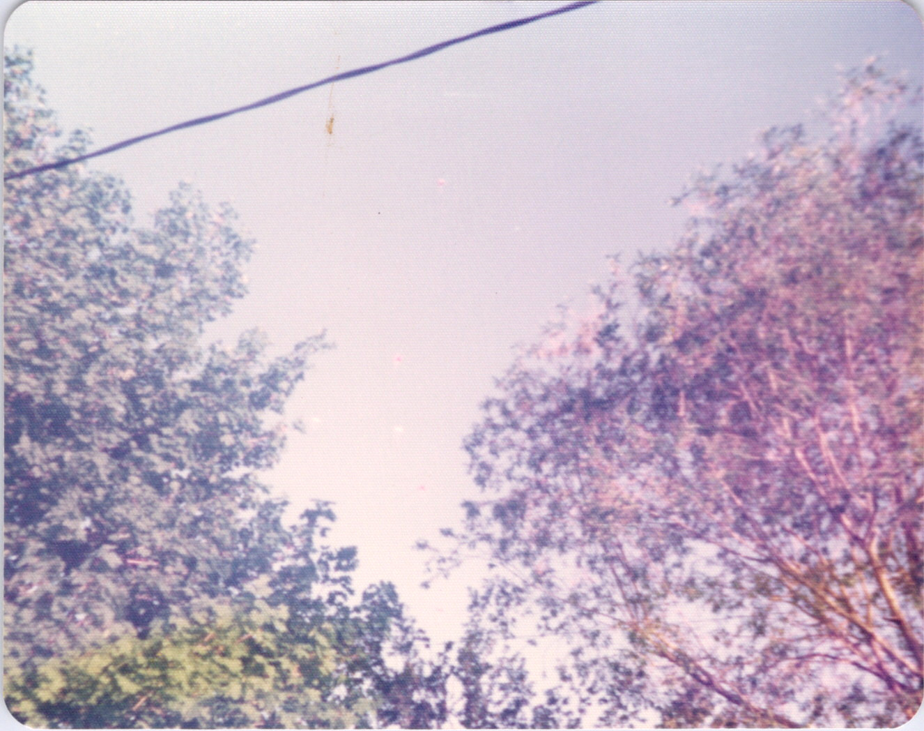 2025-04-12-0317