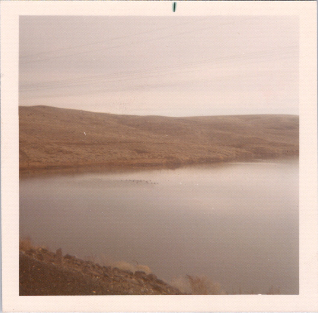 2025-04-12-0363