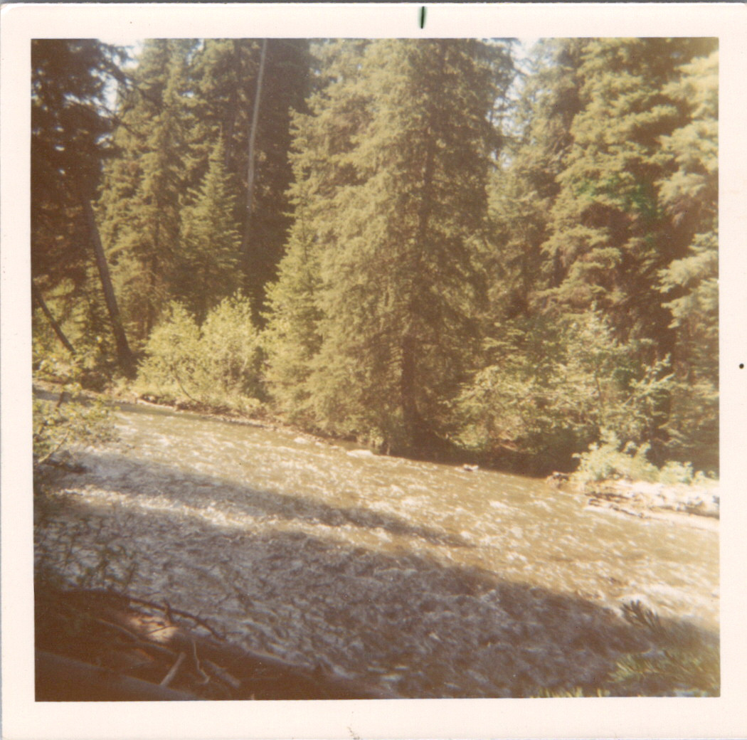 2025-04-12-0385