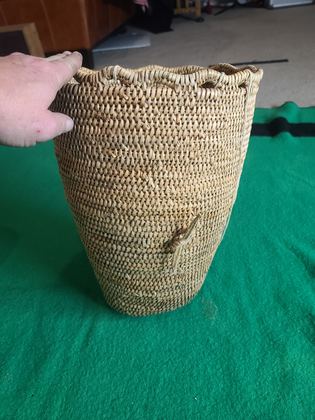 Large plain coiled cedar-root gathering / burden basket with hide loops, plate 217