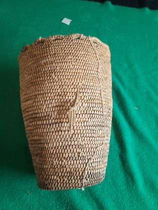 Large plain coiled cedar-root gathering / burden basket with hide loops, plate 221